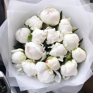 Meet your Posher, Sonia